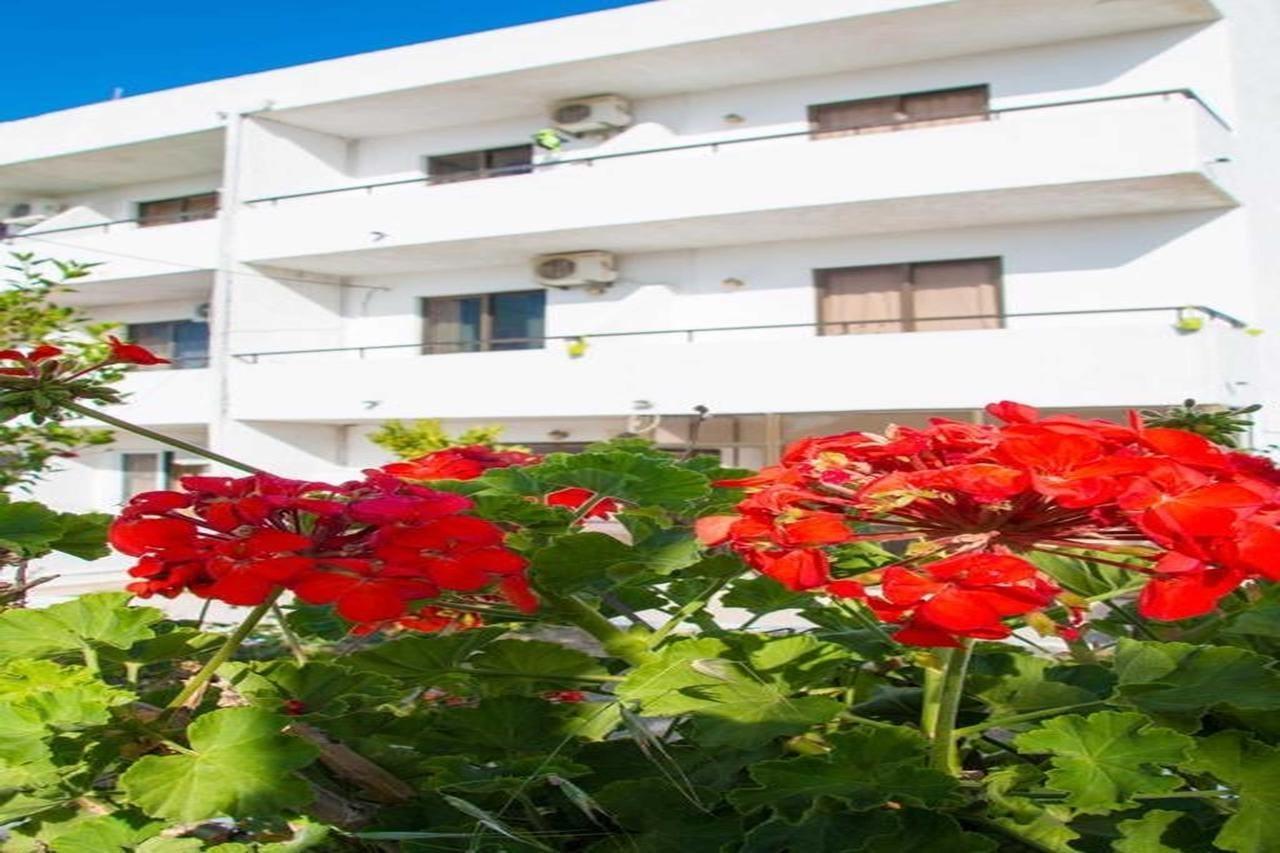 Nikos Bnb ファリラキ エクステリア 写真
